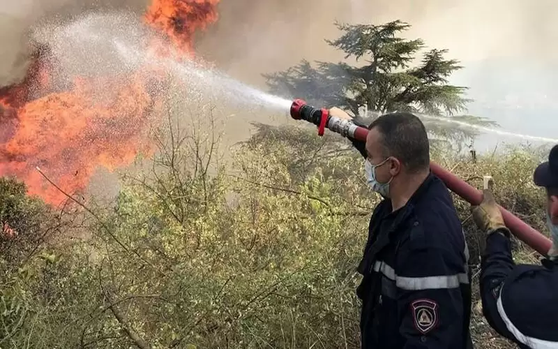 موجة حرائق جديدة في الجزائر