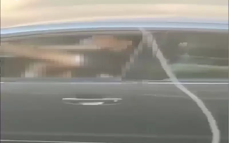 فيديوهات خادشة لأمن المجتمع.. فمن وراءهم