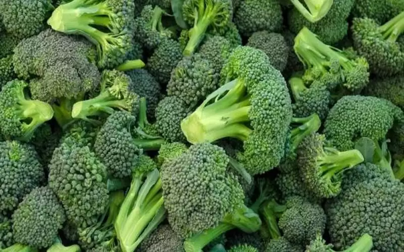 فوائد البروكلي للمرأة، الرجل، ولمرضى السكري