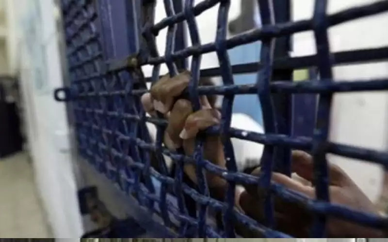 نادي الأسير: الاحتلال يواصل اعتقال 11