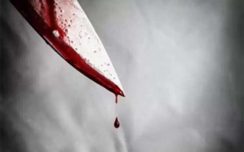 بسبب الأفلام الإباحية.. مصرية تقطع زوجها
