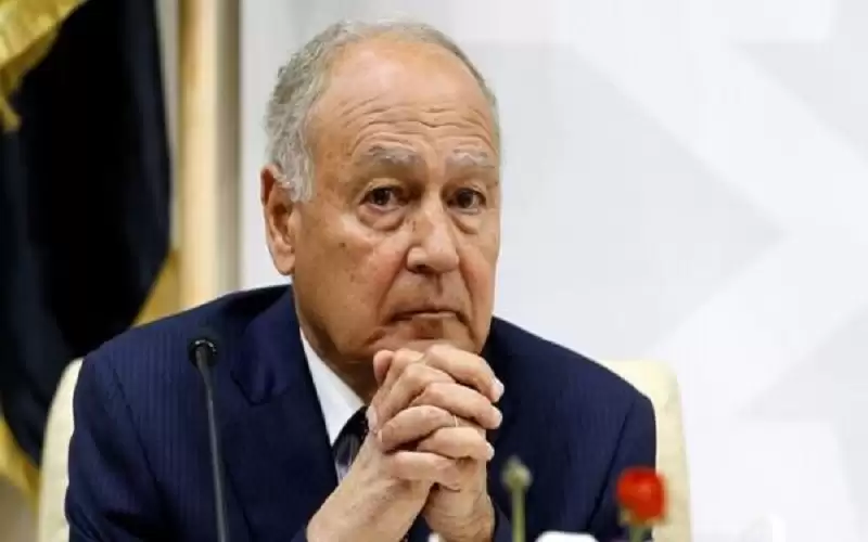 أبو الغيط: مستمرون في التضامن مع