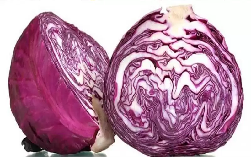 فوائد الملفوف البنفسجي لم يخبرك بها