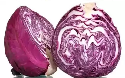 فوائد الملفوف البنفسجي لم يخبرك بها