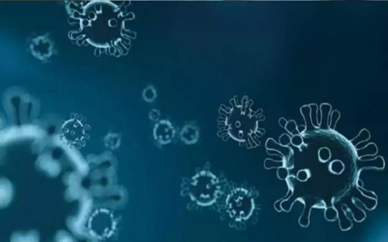دراسة: فيروسات كورونا ظهرت لأول مرة