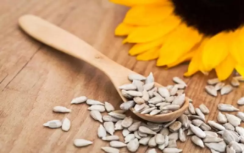 فوائد بذور اليقطين وبذور دوار الشمس