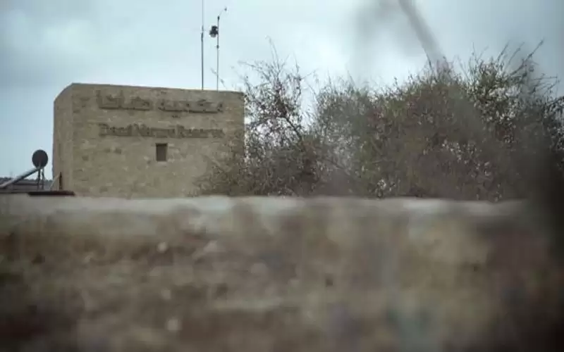 الطاقة: الحكومة معنية بتوفير مساحات بديلة