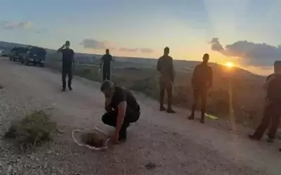الاحتلال يحظر النشر في قضية هروب