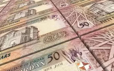 2378 دينارا نصيب الفرد من الدين