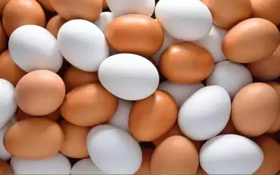ما الفرق بين البيض الأبيض والبني؟