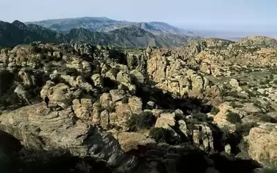 لجنة فنية لتعديل حدود محمية ضانا