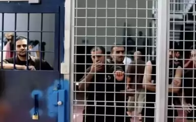 الحركة الأسيرة بسجون الاحتلال تعلن النفير