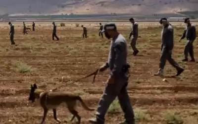 أكثر من ألف جندي يبحثون عن