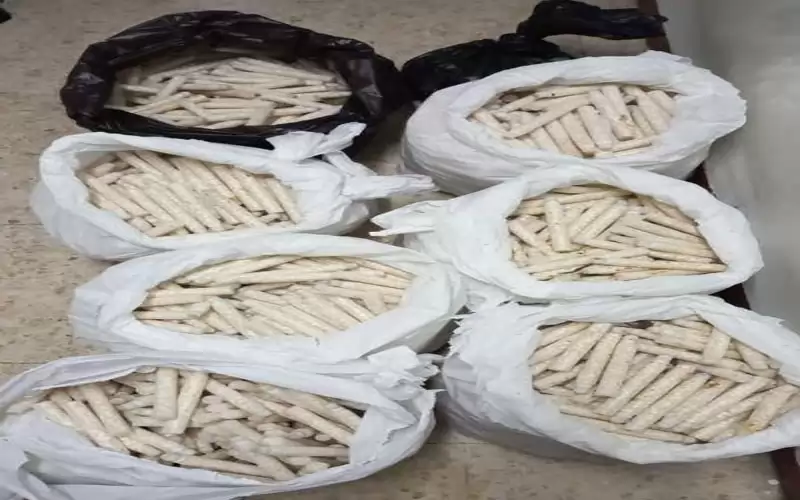 الأردن .. إحباط تهريب 500 ألف