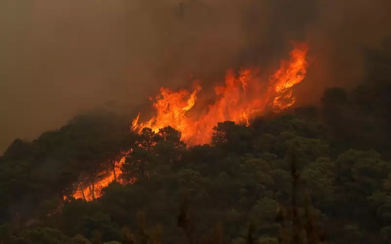 حريق غابات ضخم في جنوب إسبانيا
