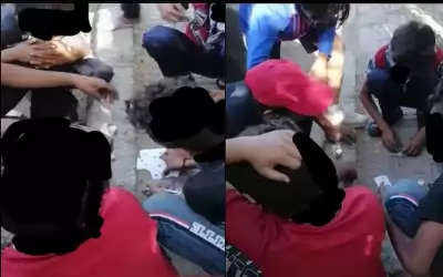 ضبط أحداث متسولين يمارسون القمار بعد