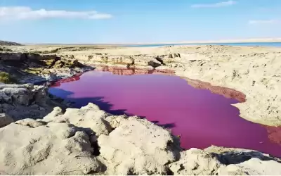 ارتفاع نسب الحديد والمنغنيز بعينات المياه