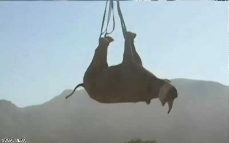 جوائز آي جي نوبل 2021 تكرّم