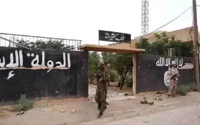 صحيفة : داعش لم يهزم في