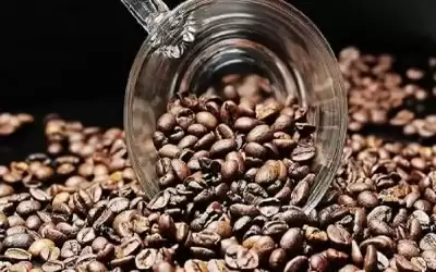 تراجع أسعار القهوة عالميا