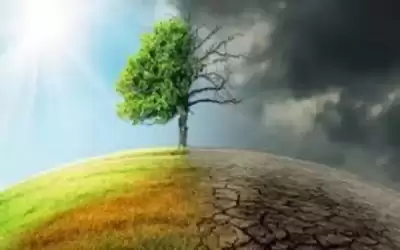 خبراء: 5 قضايا بيئية يجب مراقبتها