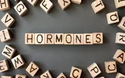 كيف تؤثر الهرمونات على وزن الجسم؟