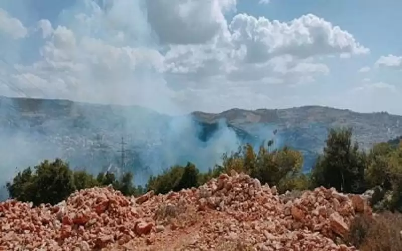 محاولة إخماد حريق غابات حرجية في