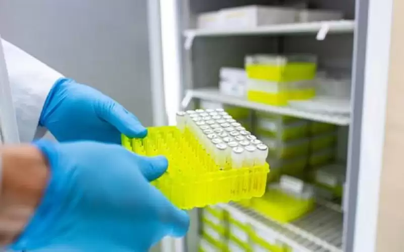 داعية مصري يتحدث عن حكم المتقاعس