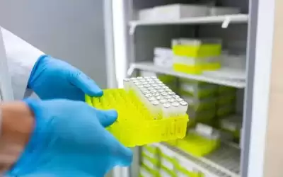 داعية مصري يتحدث عن حكم المتقاعس