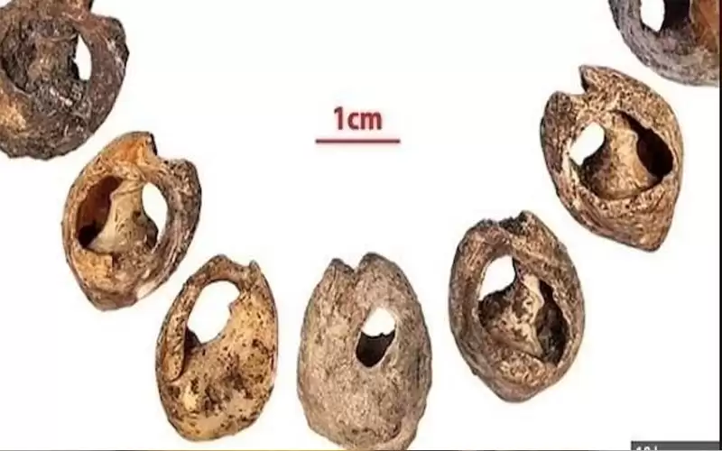 اكتشاف أقدم مجوهرات في العالم