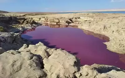 المياه الوردية والسوداء بانتظار التفسير الرسمي