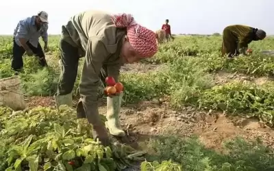 الحنيفات: اختيار 300 منحة من خلال