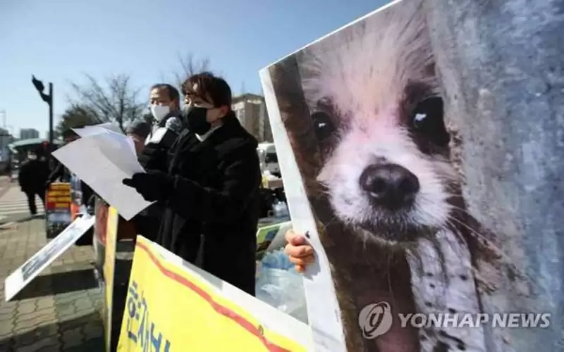 الرئيس الكوري يدعو لحظر تناول لحوم