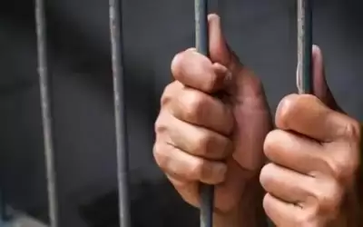 توقيف شخص 15 يوما زور تقارير