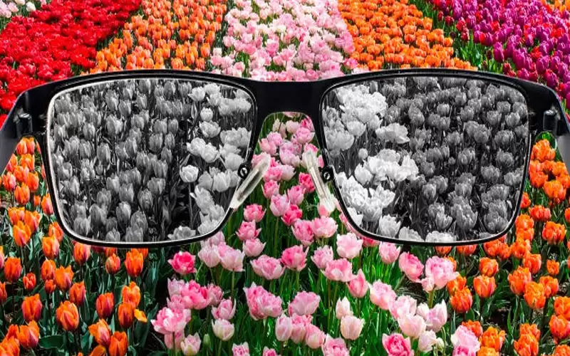 معلومات مهمة عن عمى الألوان