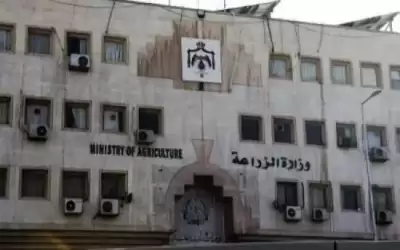 الزراعة: لن نسمح باستغلال حماية المنتج