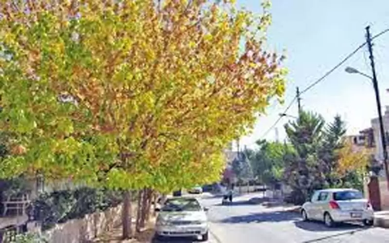 أجواء خريفية لطيفة والحرارة حول معدلاتها