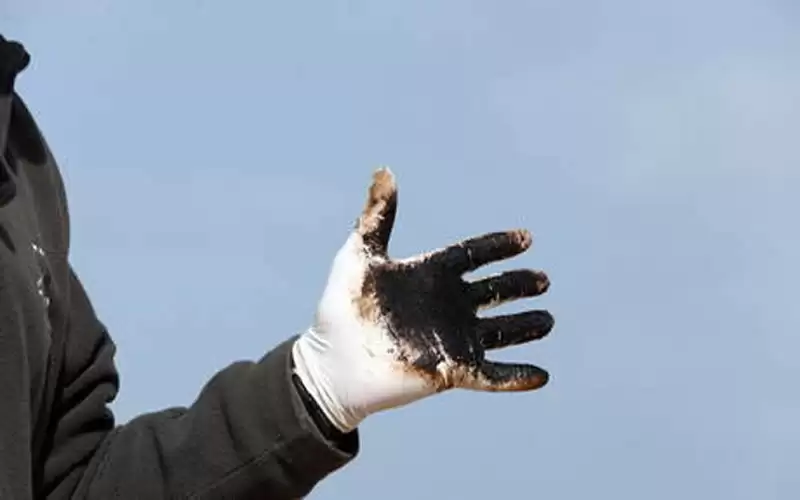 تسرب نفطي هائل يضرب سواحل كاليفورنيا