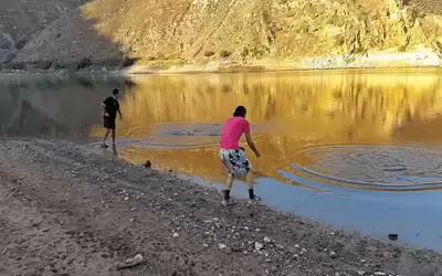 ضبط 500 كغم أسماك غير صالحة