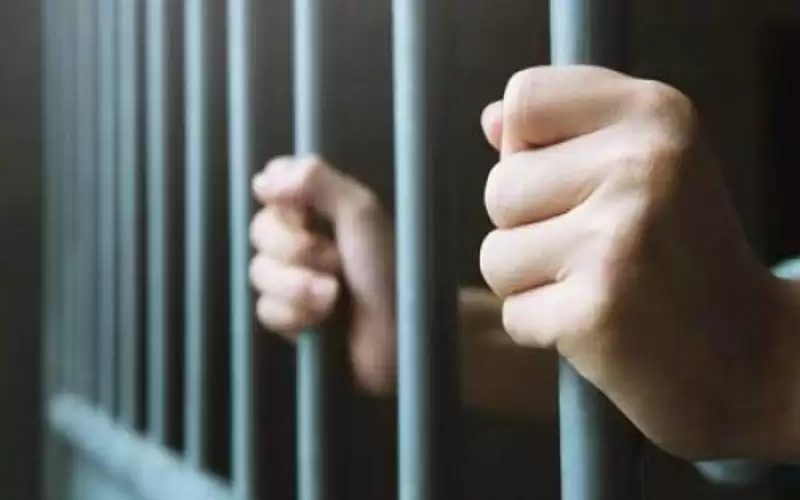 الحبس سنة لمدقق ضريبي مفوض