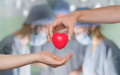 ذوو سيدة أجنبية يتبرعون بأعضائها لإنقاذ