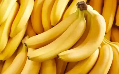 مزارعو الموز : الوزارة تسببت بكارثة