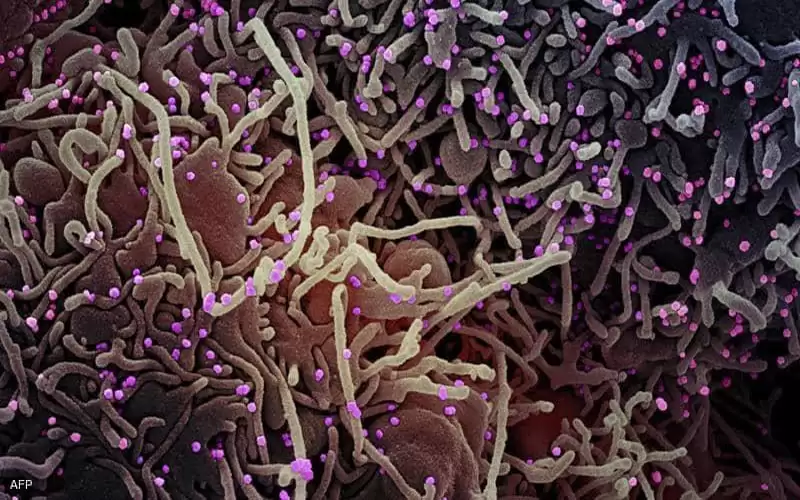 المتحور يتحور.. فصيل كورونا جديد من