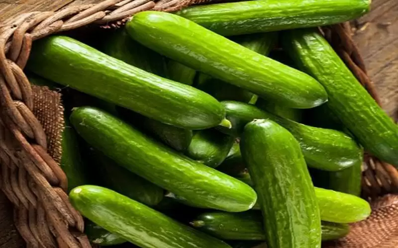 الأردن يستأنف تصدير الخضار لإسرائيل