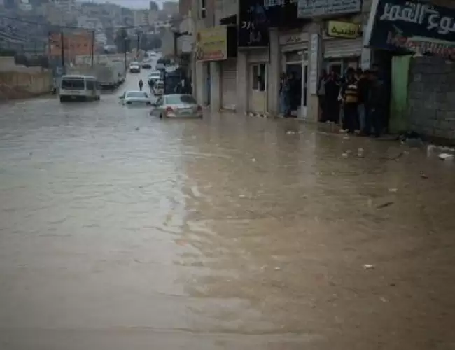 الشواربة: استفدنا من التجارب العالمية بتخفيف