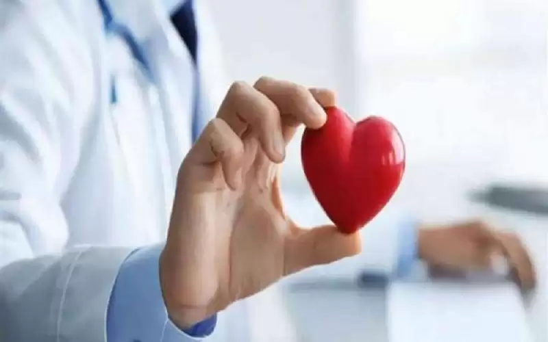 أفضل نظام غذائي لتحسين صحة القلب