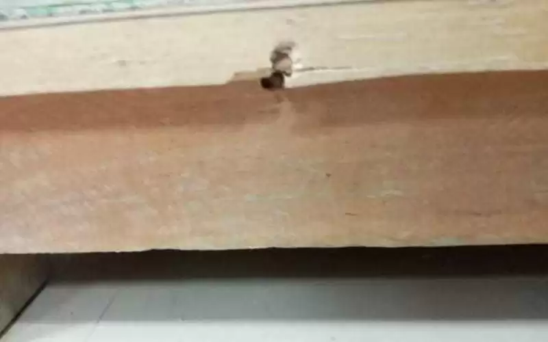 أردني يطلق النار على طبيب داخل