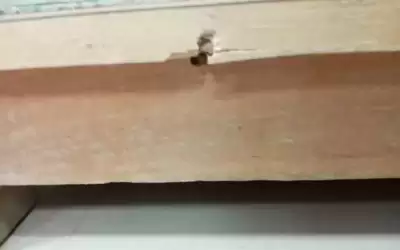 أردني يطلق النار على طبيب داخل