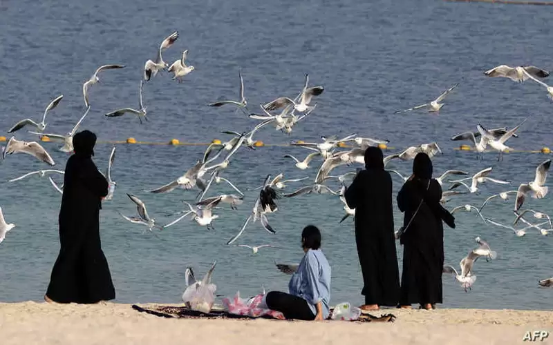 أزمة المناخ.. تحذير من ضربة قاسية