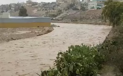 الصحة: توصيات لحل مشكلة تلوث سيل